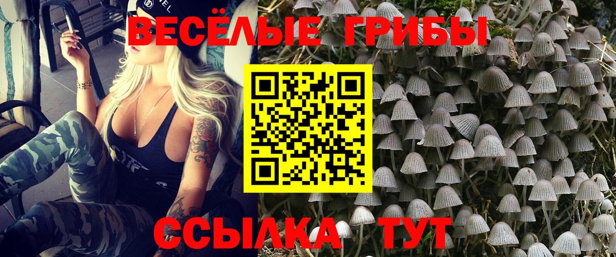 Псилоцибиновые грибы GOLDEN TEACHER Лабинск